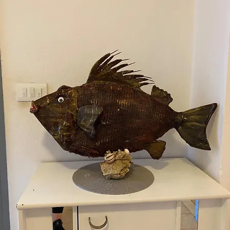 Nicole Appartement Zadar